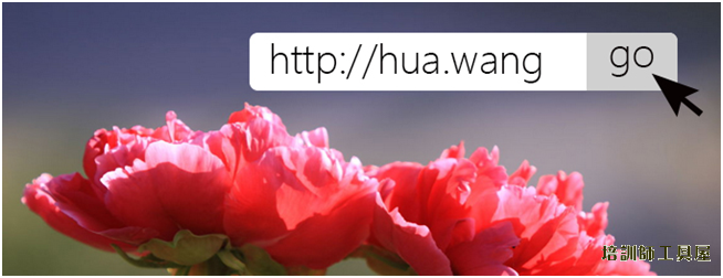 hua.wang